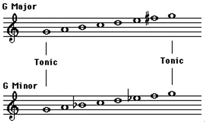 Illustration tonic - Image 2