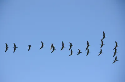 Illustration conformity - Image 1