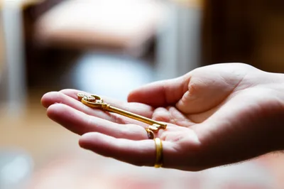 Illustration hath - Image 1