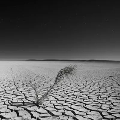 Illustration nowt - Image 1