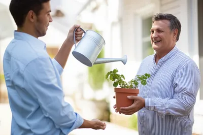 Illustration borrowed - Image 1