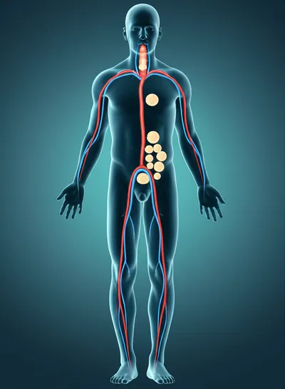 Illustration bend - Image 1