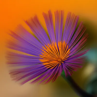 Illustration sprog - Image 1