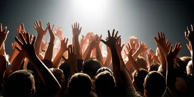 Illustration clamored - Image 1