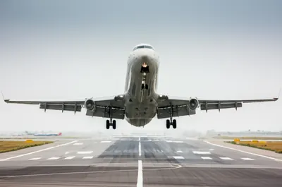 Illustration flares - Image 1