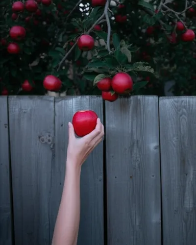 Illustration trespassed