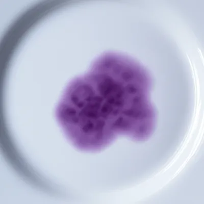 Illustration batter - Image 1