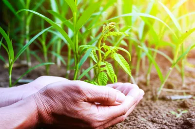 Illustration encouraged - Image 1