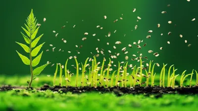 Illustration boults - Image 1