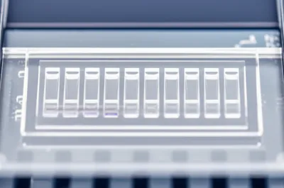 Illustration comb - Image 1