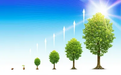 Illustration exponentiate - Image 1