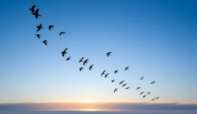 Illustration descending - Image 1