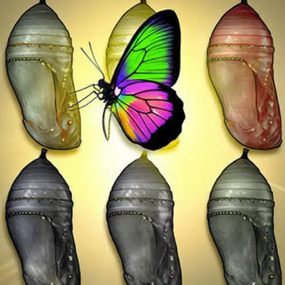 Illustration catalysed - Image 1