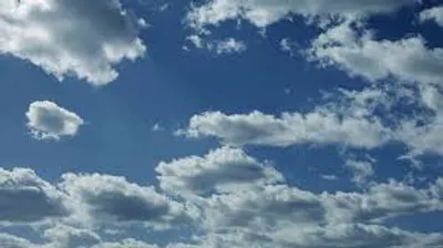 Illustration rack - Image 2