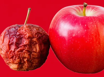 Illustration shriveled - Image 1