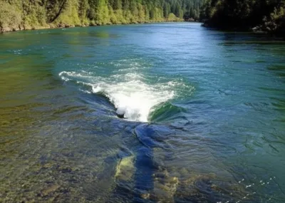 Illustration affluents - Image 1