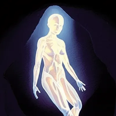 Illustration incarnations