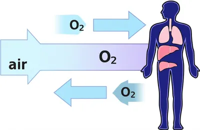 Illustration breathe - Image 1