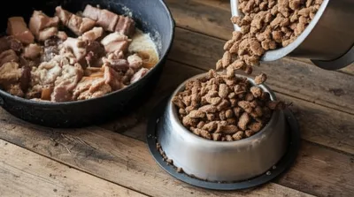 Illustration cracklings - Image 1