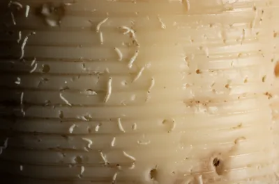 Illustration jumpers - Image 1