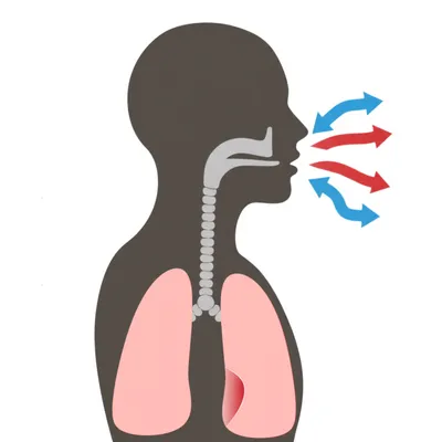 Illustration breathing - Image 1