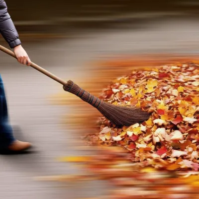 Illustration brushes - Image 1