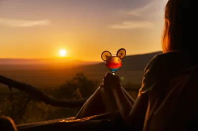 Illustration sundowner - Image 1