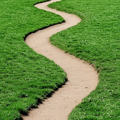 Illustration apt - Image 1