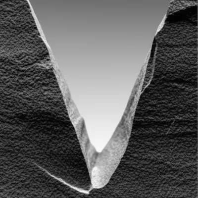 Illustration cleft - Image 1