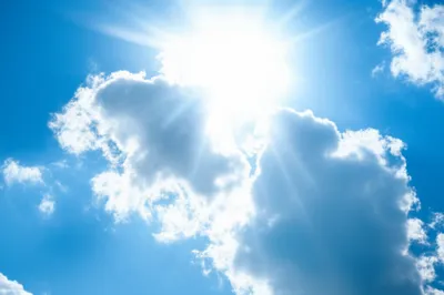 Illustration possibly