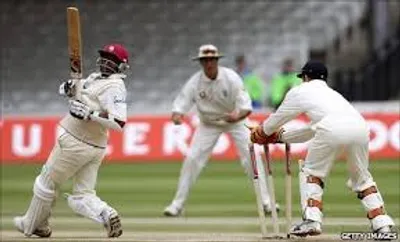 Illustration stump - Image 2