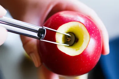 Illustration cores - Image 1