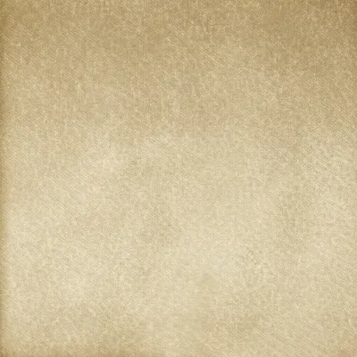 Illustration flocks - Image 1