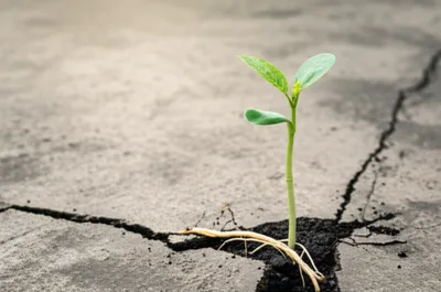 Illustration toughie - Image 1