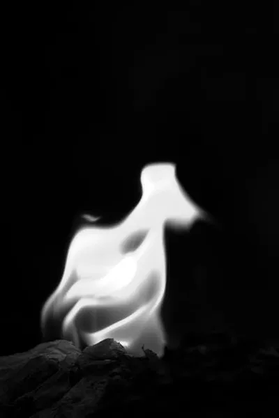 Illustration wriggles - Image 2