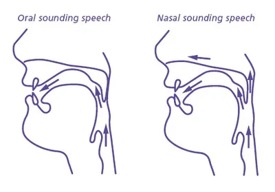Illustration nasal - Image 2