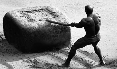 Illustration roused - Image 1