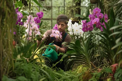 Hình ảnh minh họa man - Ảnh 1