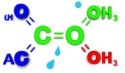 Hình ảnh minh họa ester