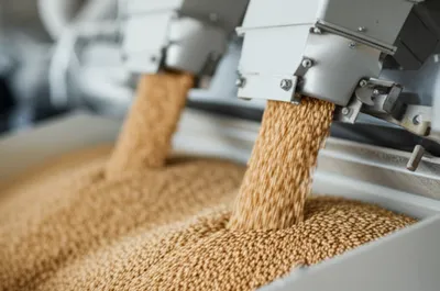 Illustration scalps - Image 1