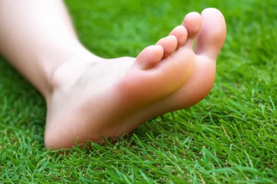 Illustration pes - Image 1