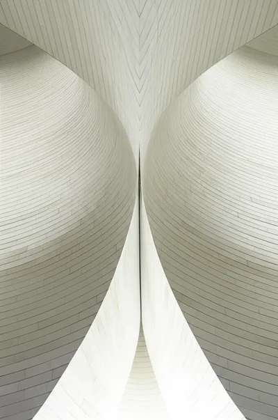 Illustration groin - Image 1