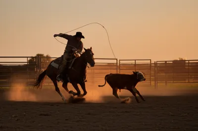 Illustration roping - Image 1