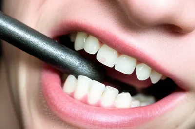 Illustration bite - Image 1