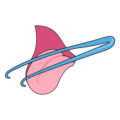 Illustration fourchettes - Image 1