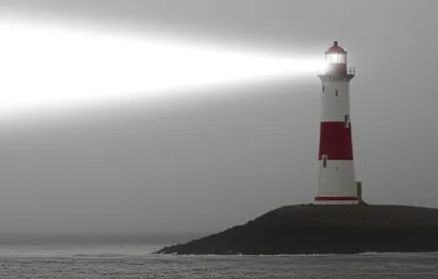 Illustration safest - Image 2