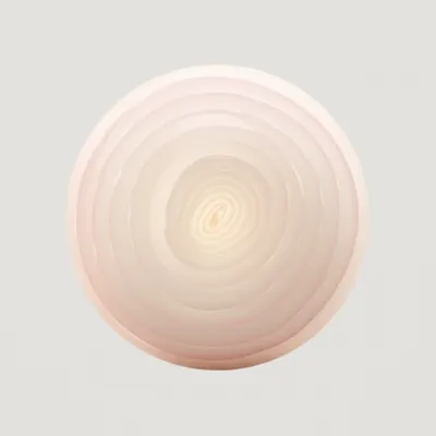 Illustration onion - Image 1