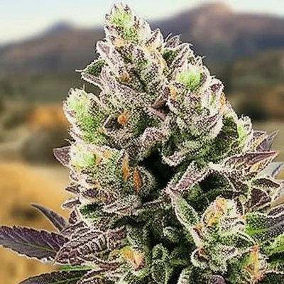 Illustration kush - Image 1