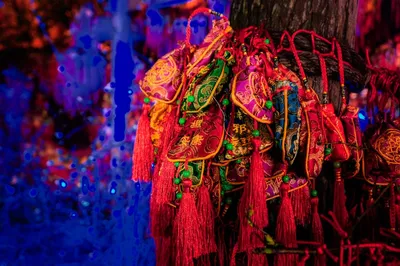 Illustration copiously - Image 2