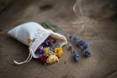 Illustration sachets - Image 1